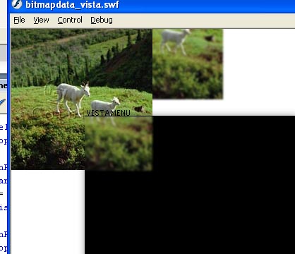 vista.jpg