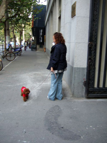 dscf4346.jpg