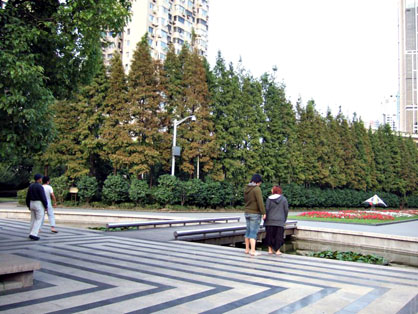 dscf4352.jpg