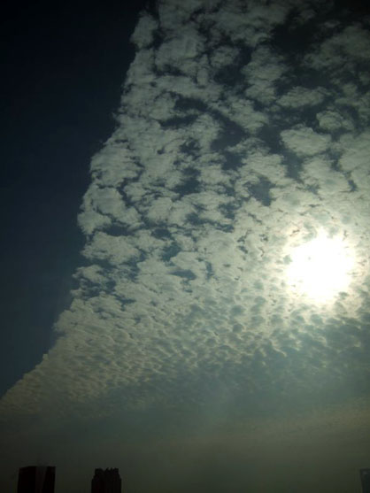 dscf4373.jpg