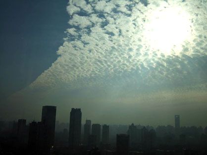 dscf4377.jpg