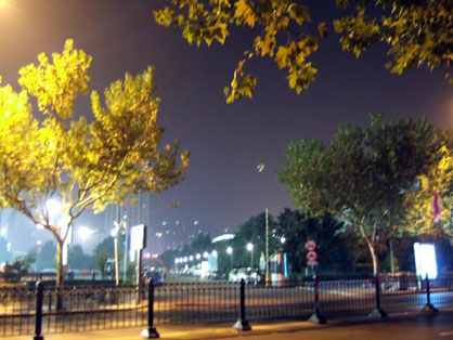 dscf4594.jpg