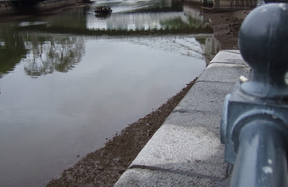 dscf5413.JPG