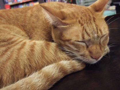 dscf5497.JPG