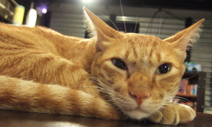 dscf5498.JPG