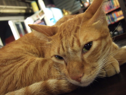 dscf5499.JPG