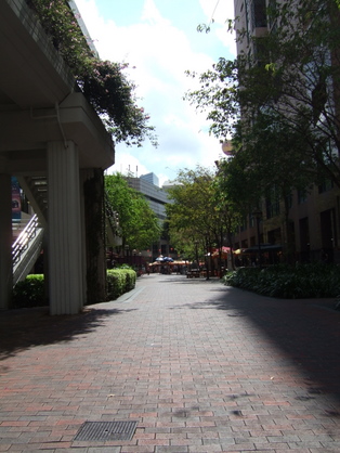 dscf5502.JPG