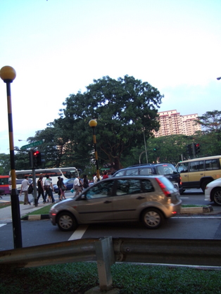 dscf5512.JPG