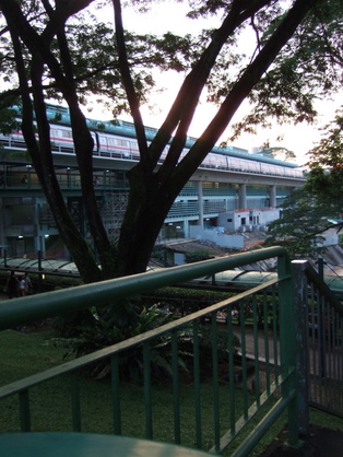 dscf5514.JPG