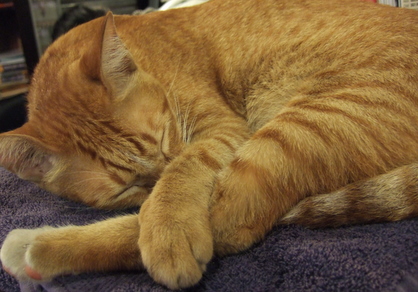 dscf5579.jpg