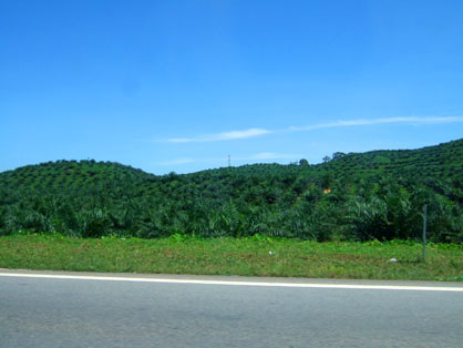 dscf5729.JPG