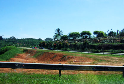 dscf5731.JPG
