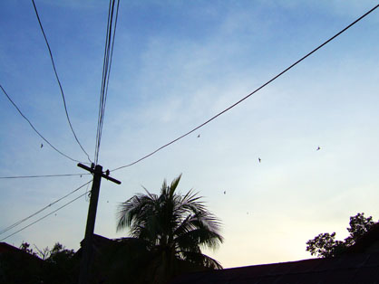 dscf5735.JPG