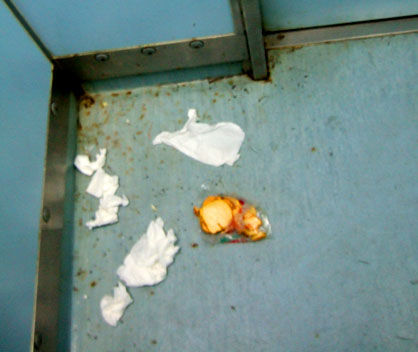 dscf5750.JPG