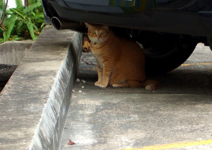 dscf5776.JPG