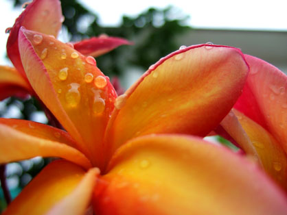 dscf5888.JPG