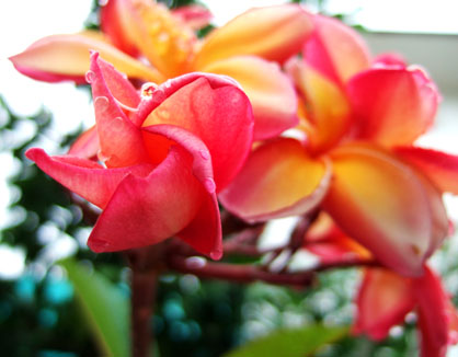 dscf5892.JPG