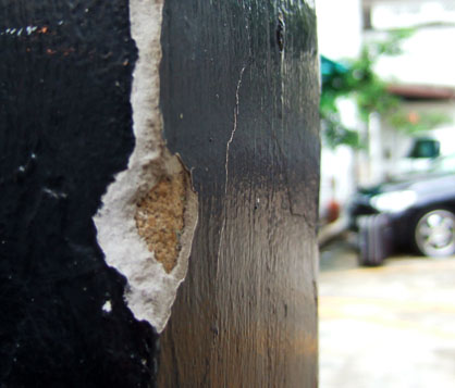 dscf5899.JPG