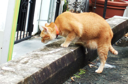 dscf5903.JPG