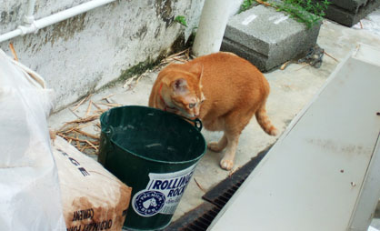 dscf5904.JPG