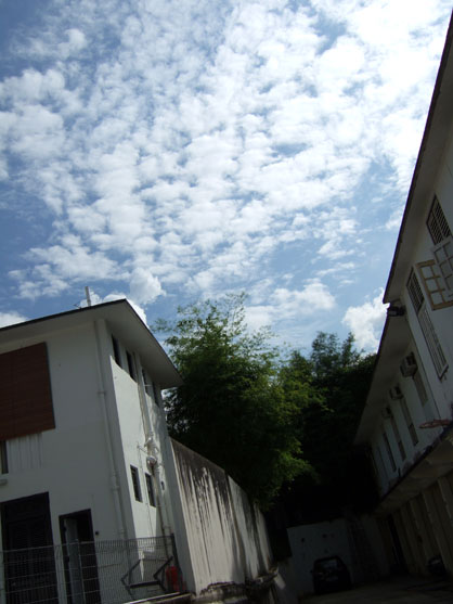 dscf7335