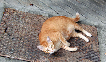dscf7778.jpg