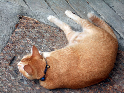 dscf7780.jpg