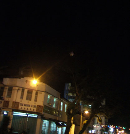 dscf7861.jpg