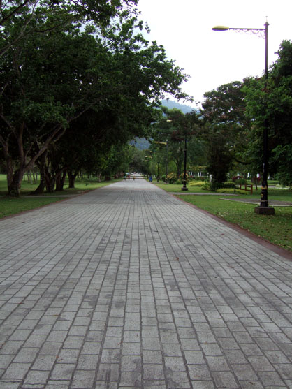 dscf7884.jpg