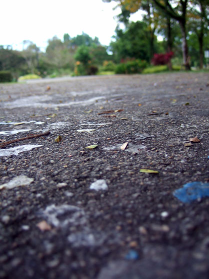 dscf7887.jpg