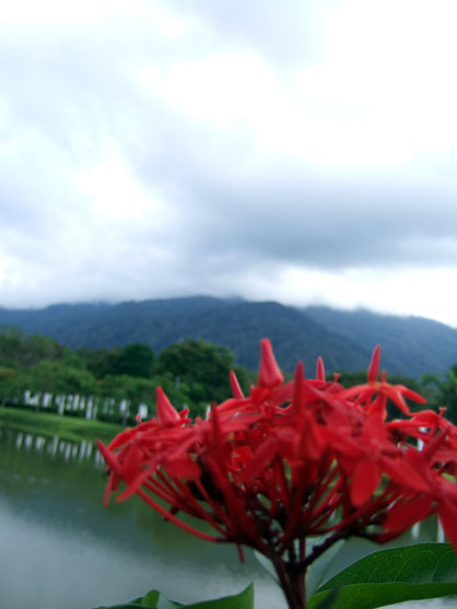 dscf7890.jpg