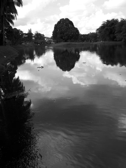 dscf7895.jpg