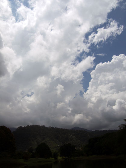 dscf7902.jpg