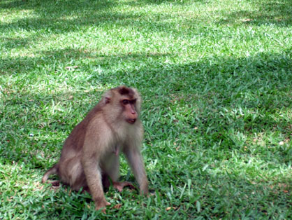 dscf7910.jpg