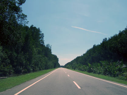 dscf7918.jpg