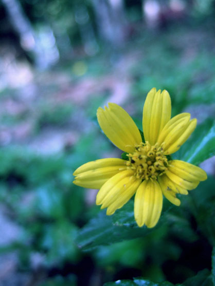 dscf7945.jpg