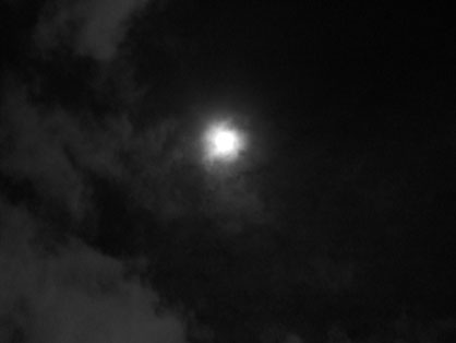 dscf8165.jpg