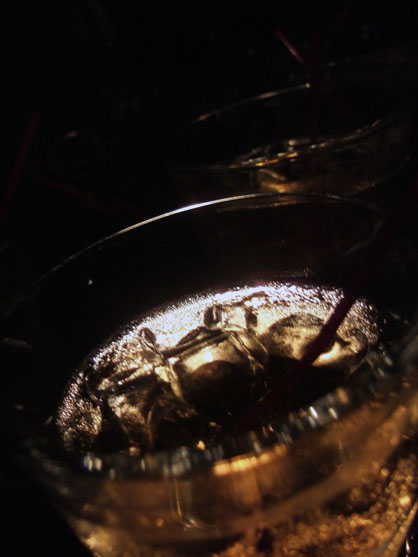 dscf8204.jpg