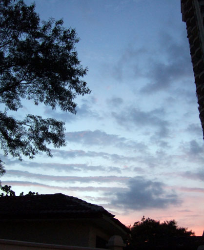 dscf8247.jpg