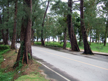 dscf8338.jpg