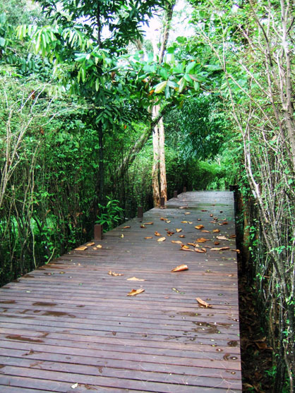 dscf8340.jpg
