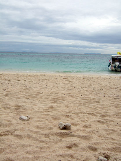 dscf8399.jpg
