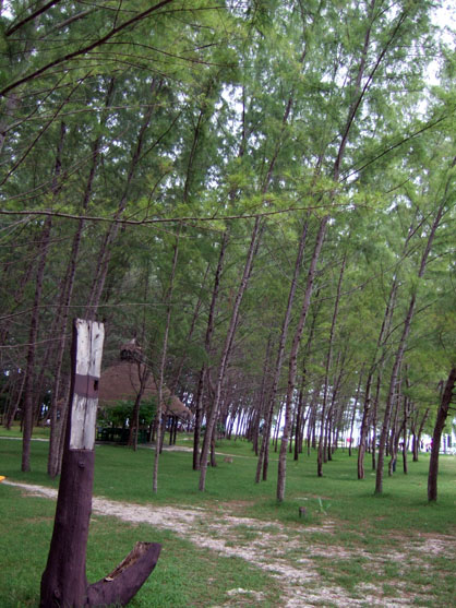 dscf8400.jpg