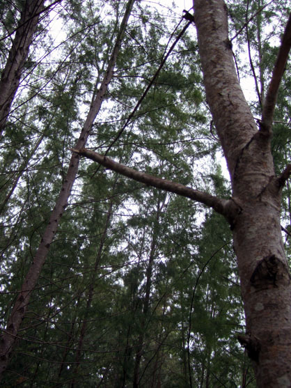 dscf8403.jpg