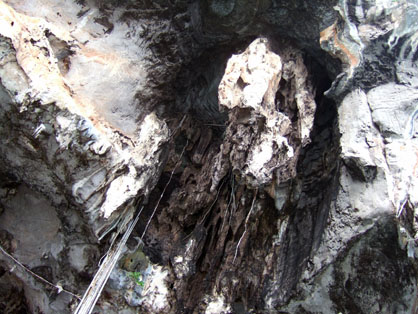 dscf8422.jpg