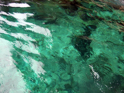dscf8423.jpg
