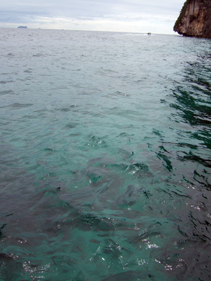 dscf8426.jpg