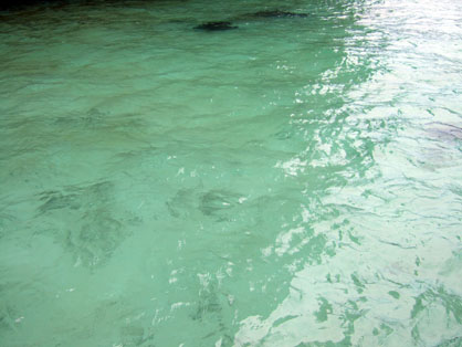 dscf8427.jpg