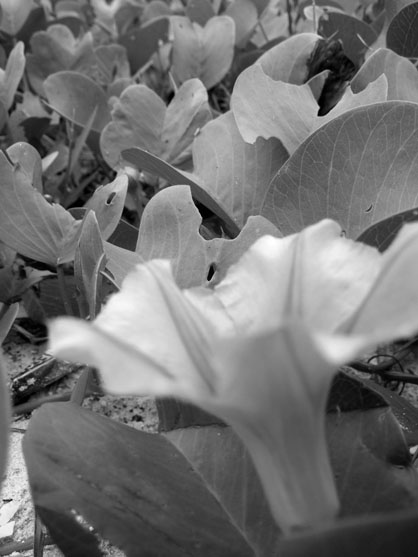 dscf8476.jpg