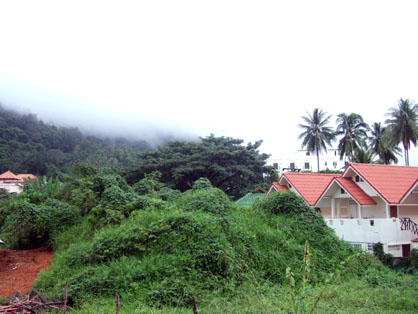 dscf8478.jpg